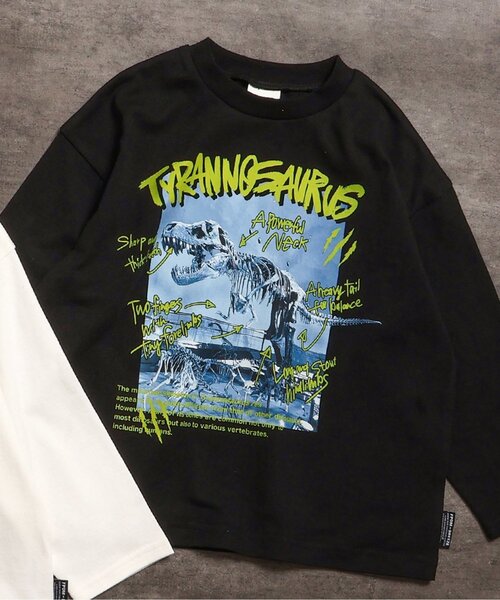 ふるさと納税 服 福井県 勝山市 勝山市 恐竜マンホールTシャツ （黒 ／ S） A-029007_02_01 勝山市 恐竜マンホールTシャツ （黒 ／ S） pd_1eda516cc2d499821efecf057e5