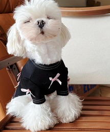 aimoha | リボン付きブラック　ペットワンピース(ペットウェア)