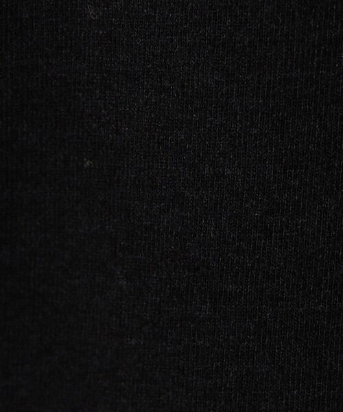 JAMES PERSE(ジェームスパース)の「コットンポリエステルジャージー サイドシャーリングTシャツ WMTP3232(Tシャツ/カットソー・レディース・ダークグリーン/ブラック/ホワイト・1)」の13枚目の写真