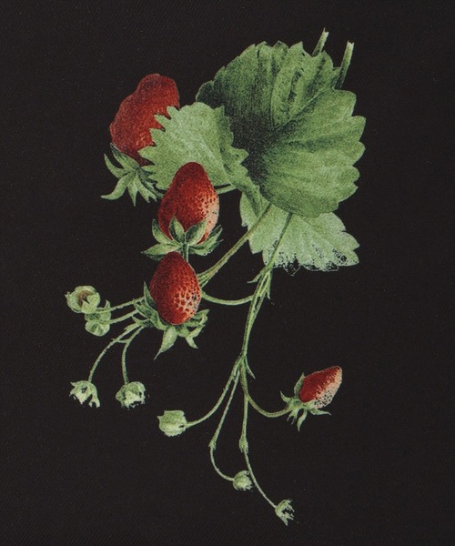 WILLSELECTION（ウィルセレクション）の「ウィンターボタニカルトートバッグ（トートバッグ・レディース・オフホワイト/ブラック・FREE）」の13枚目の写真