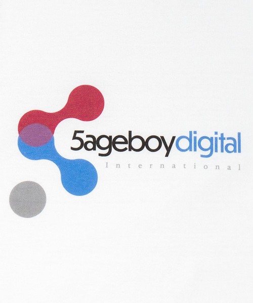 SAGE(セージ)の「SAGE / セイジ 5ageboy digital S/S Tee(Tシャツ/カットソー・メンズ・ホワイト・LARGE/SMALL)」の2枚目の写真
