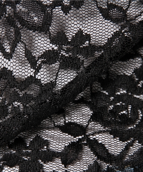 WEGO（ウィゴー）の「WEGO/総レーススタンドカラーTee（N）（Tシャツ/カットソー・レディース・ホワイト/ブラック/ナチュラル・FREE）」の8枚目の写真