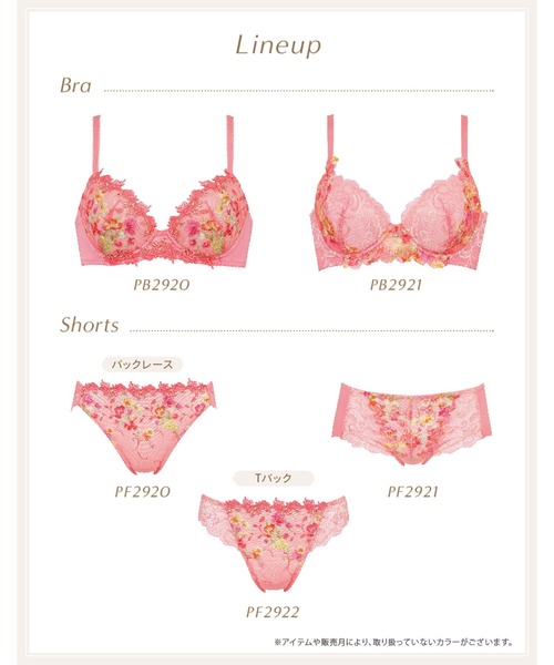 【セール】「2920シリーズ」 ブラジャー（ブラジャー）｜Wing Lesiage（ウイングレシアージュ）