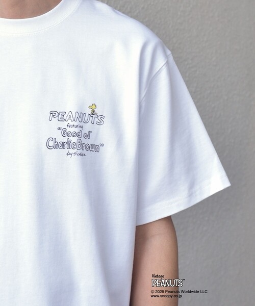 SHIPS any: SNOOPY コラボ NOT THERE グラフィック バック