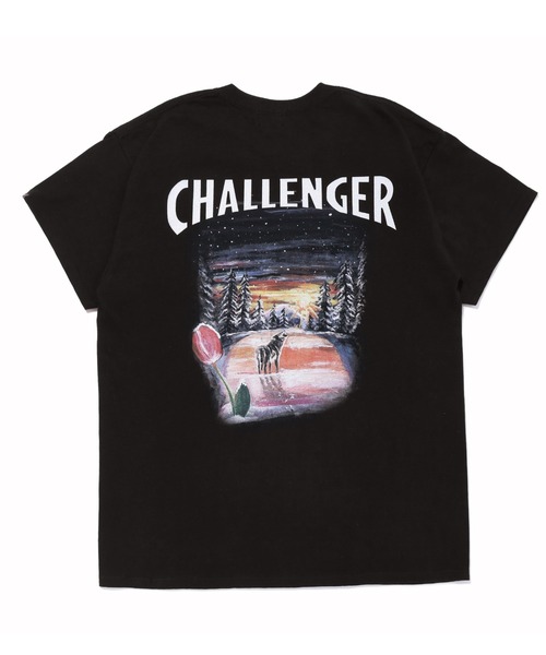 Schott Challenger 長袖カットソー SCHOTT / ショット】 COLOR FLOCKY BULLDOG LS T-SHIRT / カラー