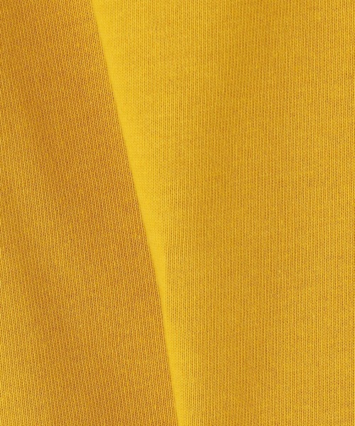 Grand PARK（グランドパーク）の「国産デラヴェ天竺Ｔシャツ（Tシャツ/カットソー・レディース・ブルー/ピンク/ベージュ/イエロー・FREE）」の14枚目の写真