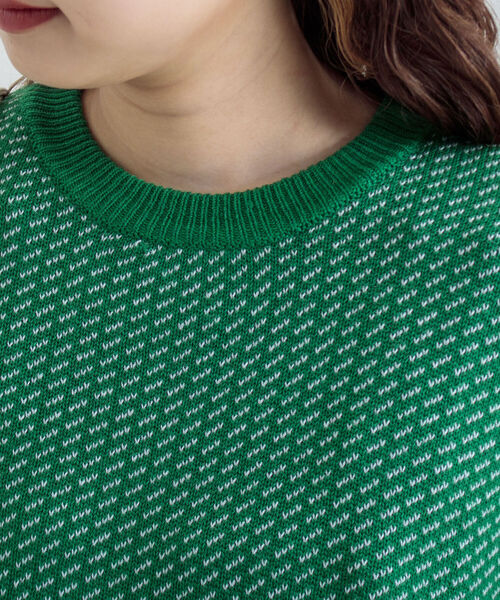 GLOSTER(グロスター)の「【GLOSTER/グロスター】バーズアイプルオーバーニット(ニット/セーター・メンズ・ベージュ/グリーン/ネイビー・M/L)」の16枚目の写真