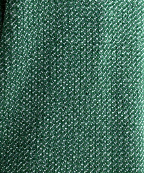 GLOSTER(グロスター)の「【GLOSTER/グロスター】バーズアイプルオーバーニット(ニット/セーター・メンズ・ベージュ/グリーン/ネイビー・M/L)」の8枚目の写真