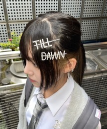 TILLDAWN | 韓国ブランド TILLDAWN ティルドーン TILLDAWN HAIRCLIP ロゴ ヘアピン ヘアアクセサリー ヘアクリップ(ヘアピン)