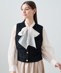 ANAYI（アナイ）の「モールコンビクルーネックジレ（ニット/セーター