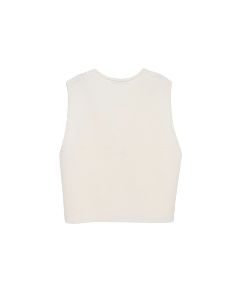 ANAYI（アナイ）の「モールコンビクルーネックジレ（ニット