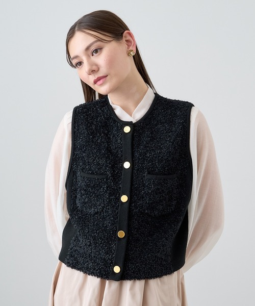 ANAYI アナイ モールコンビクルーネックジレ ANAYI（アナイ）の「モールコンビクルーネックジレ（ニット/セーター