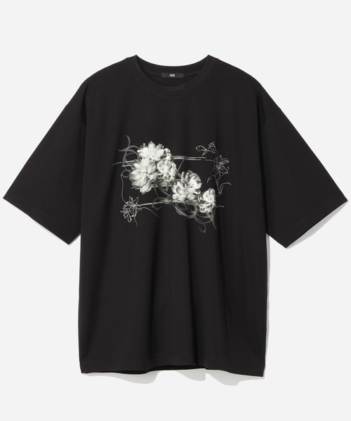 接触冷感】フロントグラフィックプリントカット(HARE)（Tシャツ