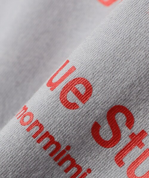 monmimi（モンミミ）の「【SHIPS any別注】MONMIMI:〈洗濯機可能〉ロゴ プリント ロンTEE 25AW（Tシャツ/カットソー・レディース・ライトブルー/ホワイト/ピンク・ONE SIZE）」の9枚目の写真