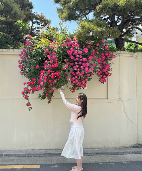 YOUHEE(ユヒ)の「EYELET SLEEVELESS WHITE(Tシャツ/カットソー・レディース・その他・FREE)」の6枚目の写真