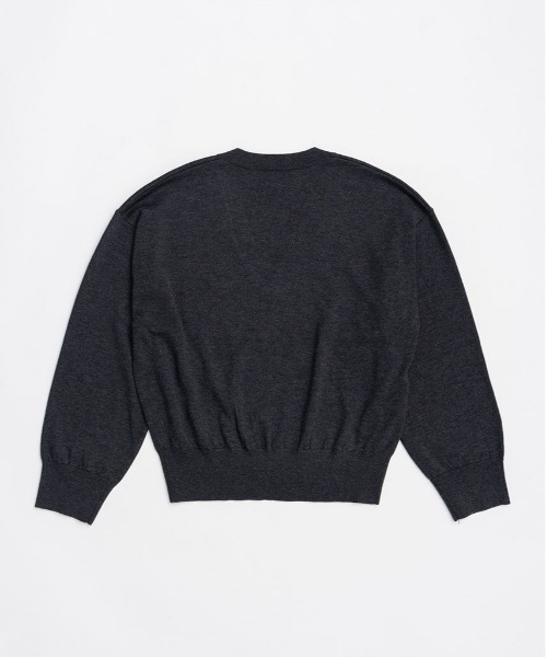 PRANK PROJECT(プランクプロジェクト)の「テープリボンキャミレイヤードニット / Tape Ribbon Camisole Layer Knit(ニット/セーター・レディース・チャコールグレー/ライトグレー・FREE)」の21枚目の写真