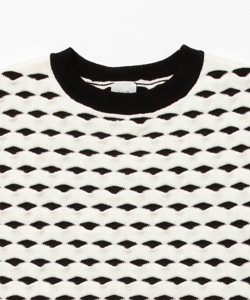 Demi-Luxe BEAMS（デミルクス ビームス）の「ELIN / ジャカード クルーネック ベスト（ニット/セーター・レディース・ブラック・ONE SIZE）」の13枚目の写真