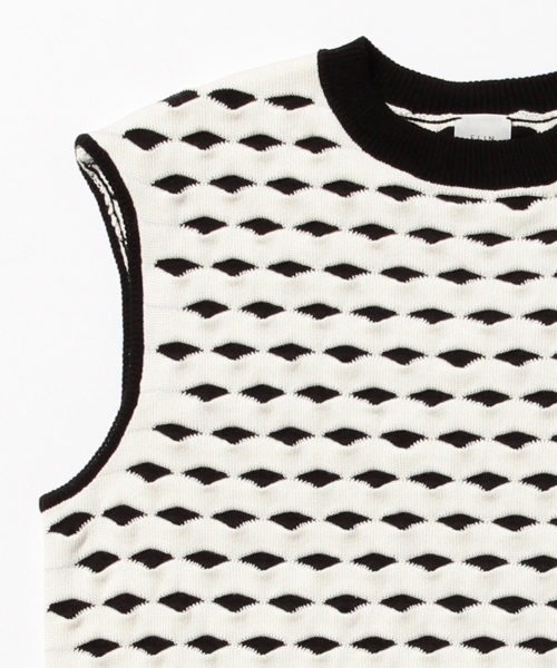 Demi-Luxe BEAMS（デミルクス ビームス）の「ELIN / ジャカード クルーネック ベスト（ニット/セーター・レディース・ブラック・ONE SIZE）」の6枚目の写真