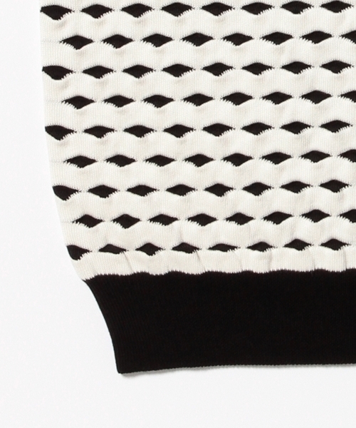 Demi-Luxe BEAMS（デミルクス ビームス）の「ELIN / ジャカード クルーネック ベスト（ニット/セーター・レディース・ブラック・ONE SIZE）」の8枚目の写真