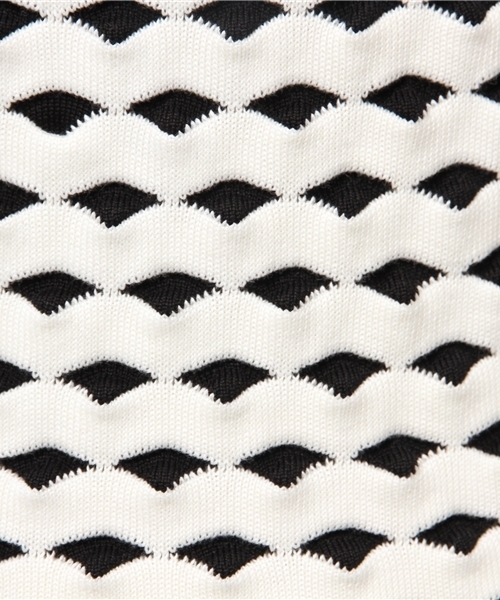 Demi-Luxe BEAMS（デミルクス ビームス）の「ELIN / ジャカード クルーネック ベスト（ニット/セーター・レディース・ブラック・ONE SIZE）」の5枚目の写真