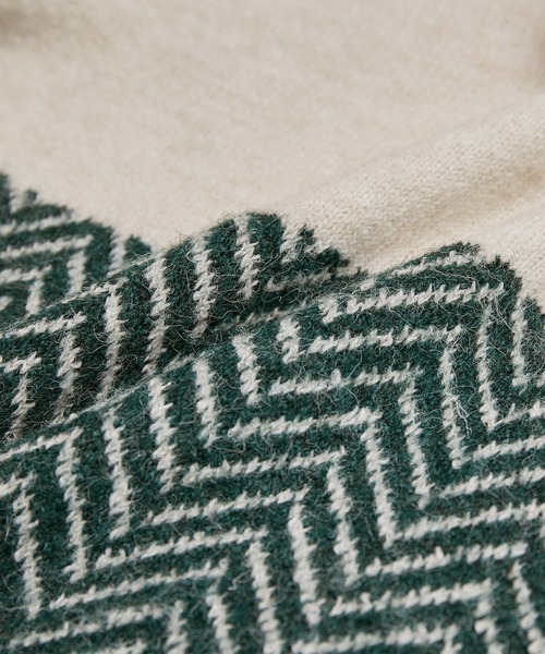 ROPE' PICNIC（ロペピクニック）の「ヘリンボーンジャガードニットプルオーバー（ニット/セーター・レディース・ブラック/グリーン・38）」の8枚目の写真
