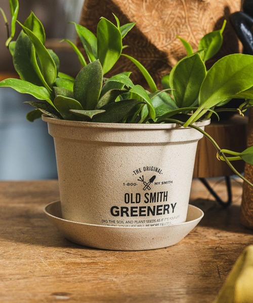 niko and（ニコアンド）の「【OLD SMITH GREENERY】ポットソーサー