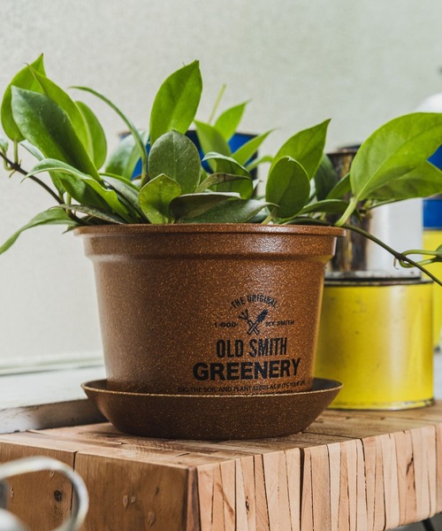 niko and（ニコアンド）の「【OLD SMITH GREENERY】ポットソーサー