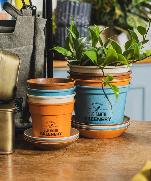 niko and（ニコアンド）の「【OLD SMITH GREENERY】ポットソーサー