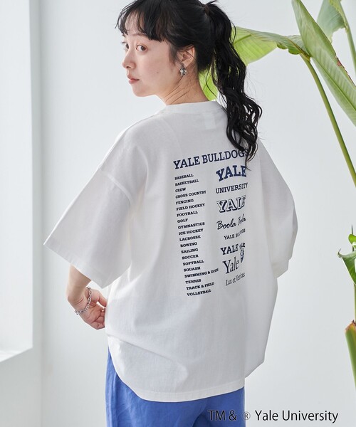 coen(コーエン)の「YALE別注 ゆるシルエットTシャツ(Tシャツ/カットソー・レディース・ライトブルー/クリーム/オフホワイト/ダークグレー・L/M)」の2枚目の写真