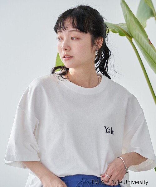 coen(コーエン)の「YALE別注 ゆるシルエットTシャツ(Tシャツ/カットソー・レディース・ライトブルー/クリーム/オフホワイト/ダークグレー・L/M)」の6枚目の写真