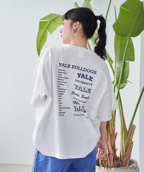coen(コーエン)の「YALE別注 ゆるシルエットTシャツ(Tシャツ/カットソー・レディース・ライトブルー/クリーム/オフホワイト/ダークグレー・L/M)」の7枚目の写真