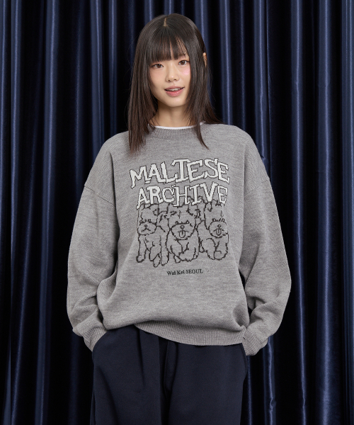 WaiKei（ワイケイ）の「マルチーズアーカイブライングラフィックニットVer.2グレー（ニット/セーター・レディース・その他・1/2）」の3枚目の写真