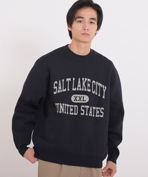 coca（coca） | ポリウーリーロゴクルーネックニット(ニット/セーター)