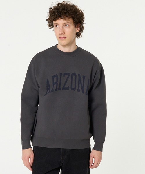 coca（coca）（コカ）の「ポリウーリーロゴクルーネックニット（ニット/セーター・メンズ・ライトブルー/カーキ/チャコール/ネイビー・L/XL/M）」の16枚目の写真