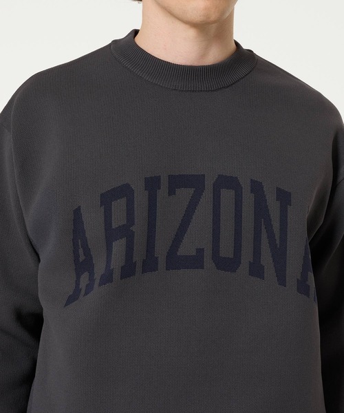 coca（coca）（コカ）の「ポリウーリーロゴクルーネックニット（ニット/セーター・メンズ・ライトブルー/カーキ/チャコール/ネイビー・L/XL/M）」の19枚目の写真