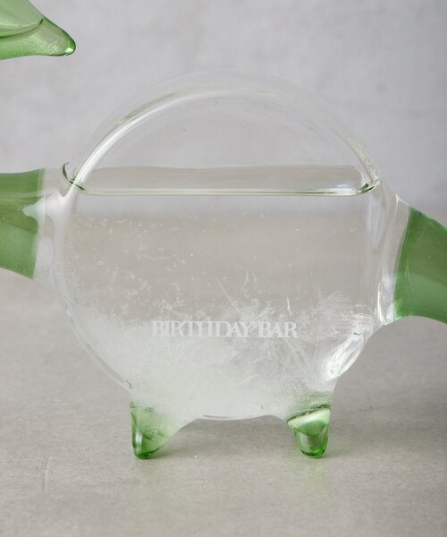 BIRTHDAY BAR(バースデイバー)の「STORM GLASS dinosaur 恐竜のストームグラス(インテリア雑貨・レディース・ブラウン/グリーン・0)」の10枚目の写真
