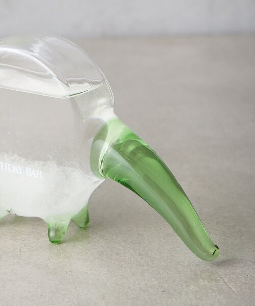 BIRTHDAY BAR(バースデイバー)の「STORM GLASS dinosaur 恐竜のストームグラス(インテリア雑貨・レディース・ブラウン/グリーン・0)」の13枚目の写真