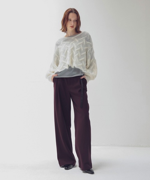 DRESSLAVE（ドレスレイブ）の「W loop one tuck wide pants(ダブルループワンタックワイドパンツ)（デニムパンツ・レディース・ネイビー/ホワイト/ブラウン・36/38）」の13枚目の写真