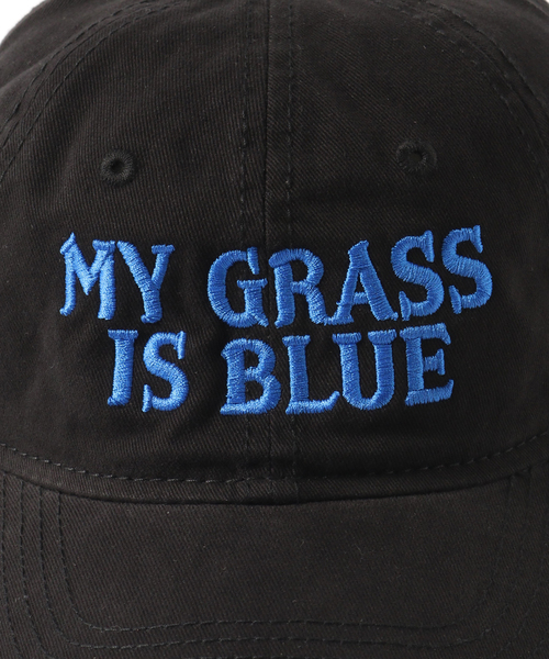 417 EDIFICE(フォーワンセブンエディフィス)の「BLUESCENTRIC My Grass Is Blue(キャップ・メンズ・ブラック/アイボリー・FREE)」の9枚目の写真