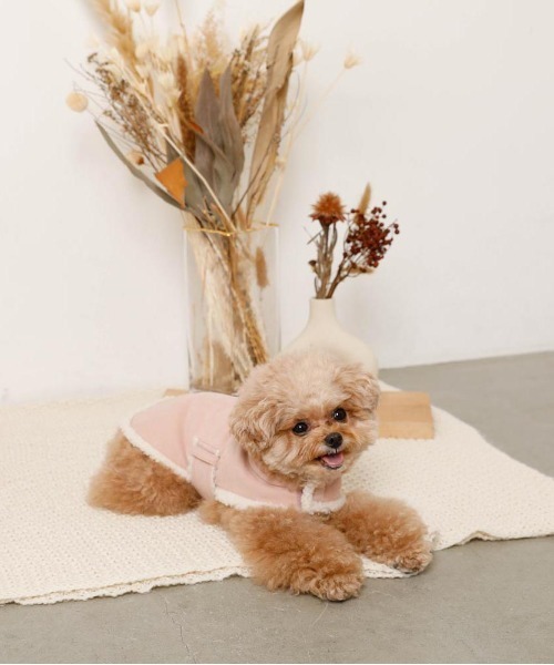 ムートン風フードボアケープ（ペットウェア）｜moncheri（モンシェリ）