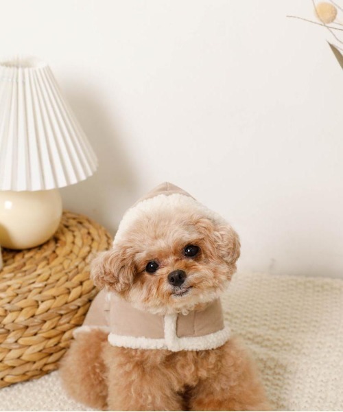 ムートン風フードボアケープ（ペットウェア）｜moncheri（モンシェリ）