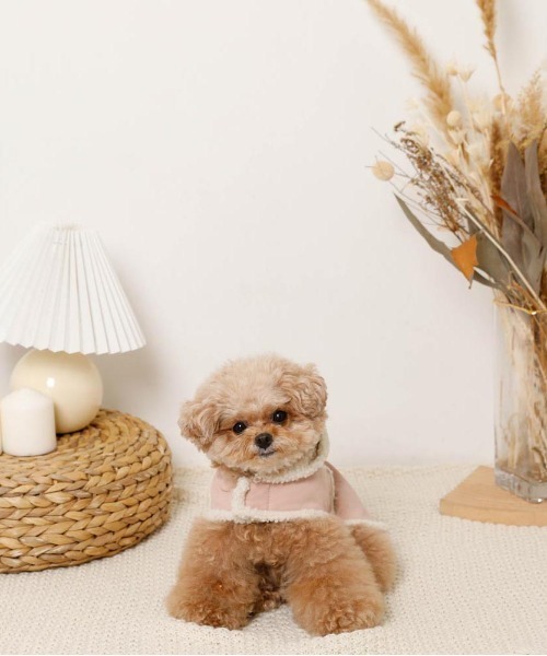 ムートン風フードボアケープ（ペットウェア）｜moncheri（モンシェリ）