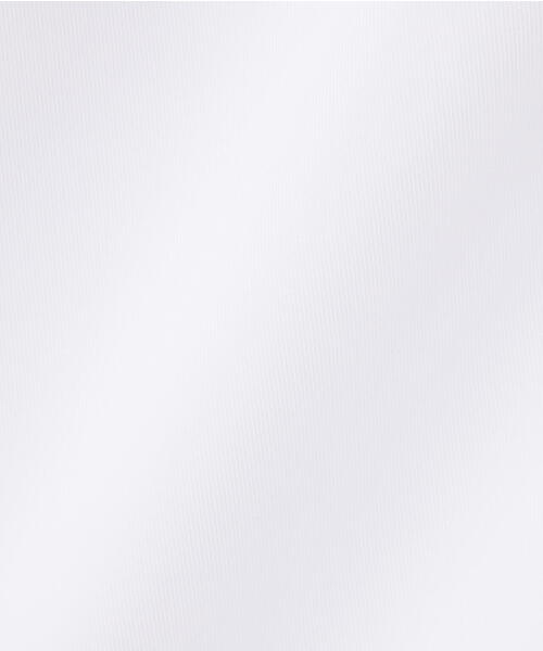 DANKE SCHON（ダンケシェーン）の「【WEB&DEPOT限定】DankeSchon/PT TWILL FLAPCARGO SHORTS（カーゴパンツ・メンズ・ホワイト/ベージュ・M/L）」の12枚目の写真