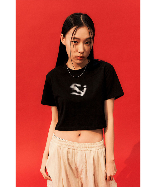 SCHISM INDUCING（スキズムインデューシング）の「LOGO CROPPED T-SHIRT, BLACK（Tシャツ/カットソー・レディース・その他・MEDIUM）」の12枚目の写真