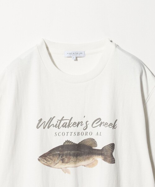 A DAY IN THE LIFE UNITED ARROWS(アデイインザライフユナイテッドアローズ)の「フィッシング プリント リラックス カットソー<A DAY IN THE LIFE>(Tシャツ/カットソー・メンズ・その他2/その他1/その他3・L/M)」の5枚目の写真