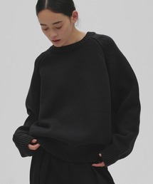 TODAYFUL | Raglan Knit Pullover(ニット/セーター)