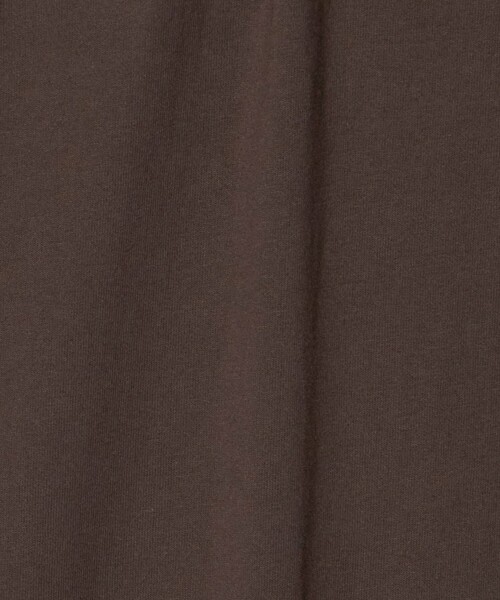 DANTON(ダントン)の「<DANTON>ロングスリーブ スウェット Tシャツ(Tシャツ/カットソー・メンズ・ナチュラル/ブラウン系/ダークグレー・M/L/XL)」の14枚目の写真