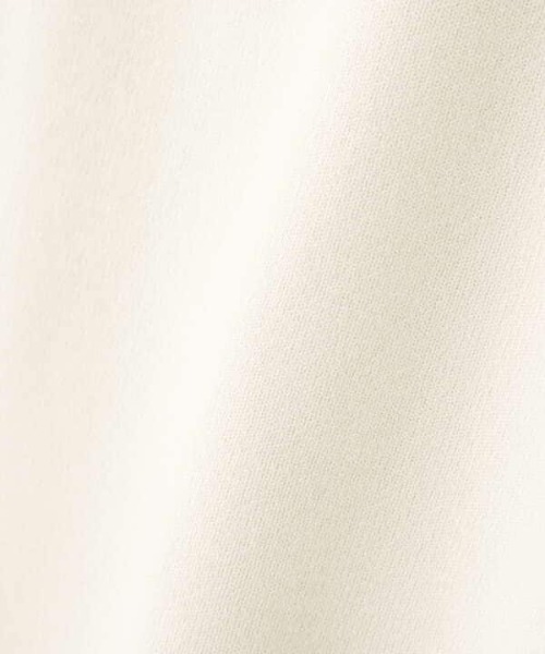 N.（N. Natural Beauty Basic）（エヌエヌナチュラルビューティーベーシック）の「◆総針ボトルネックニット（ニット/セーター・レディース・オフホワイト/ブラック/グリーン/パープル・MEDIUM）」の22枚目の写真