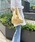 BAGGU�i�o�O�[�j�́u�yBAGGU(�o�O�D)�z���^���b�NBABY 23SS�i���{����j�i�G�R�o�b�O/�T�u�o�b�O�j�v�b�C�G���[