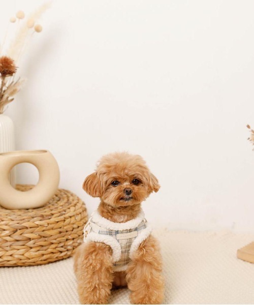 チェック柄ボアハーネス+リードSET（リード/ハーネス/首輪）｜moncheri（モンシェリ）